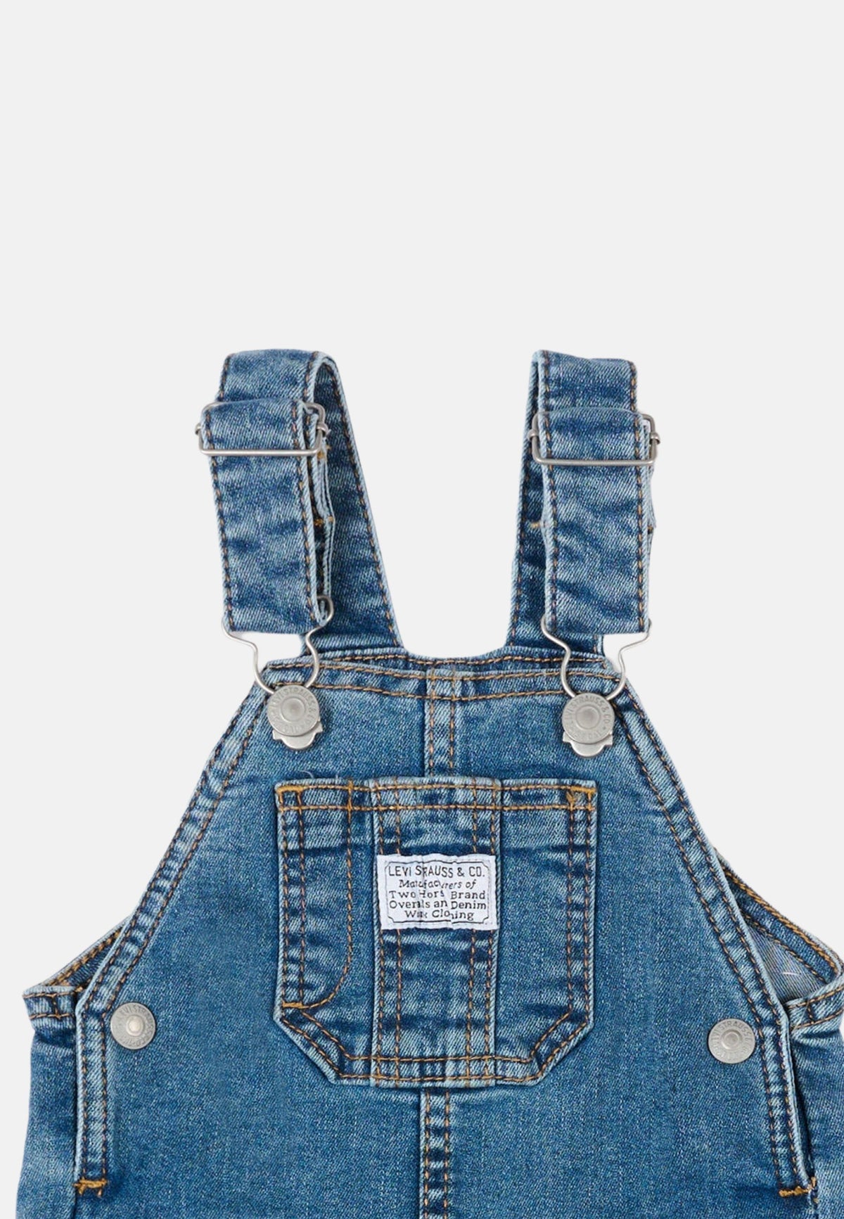 LVN SHORTALL - INDIGO CHAMPION