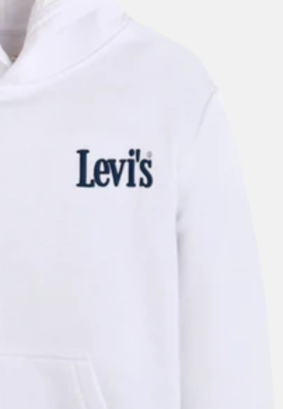 LVB CLASSIC AND CLEAN HOODIE - BRIGHT WHITE