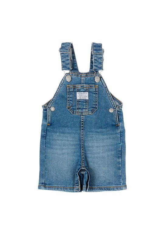 LVN SHORTALL - INDIGO CHAMPION