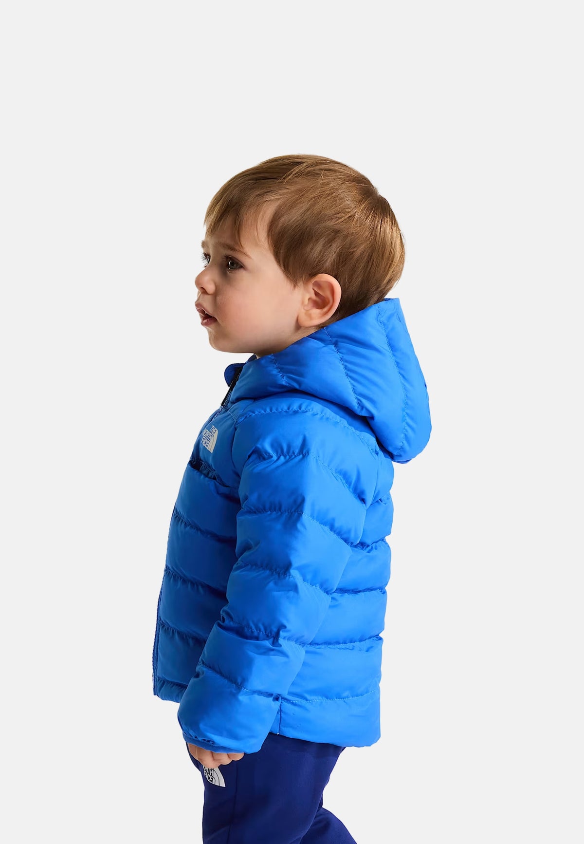 BABY RVR PERRITO JKT - ACTIVE BLUE