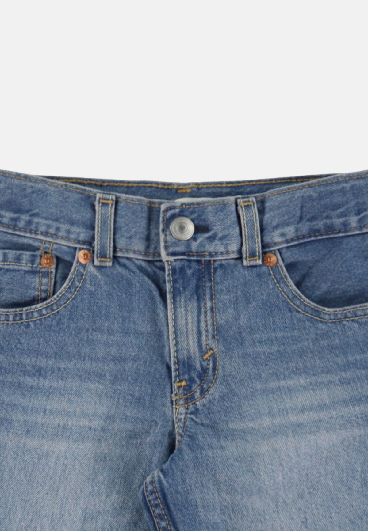 LVB SKATE SHORTS - INDIGO CHAMPION