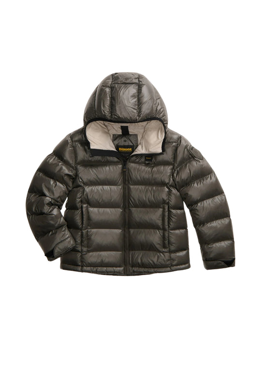 ANSEL JUNIOR - TORTORA
