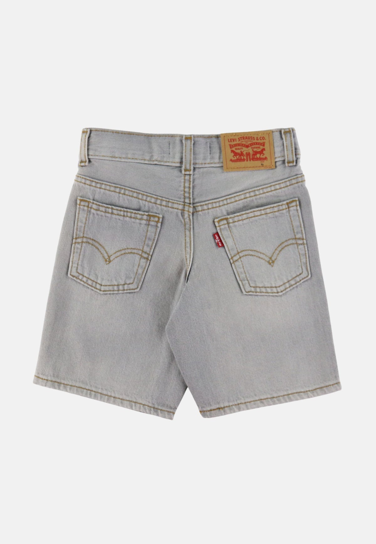 LVB SKATE SHORTS - BOULDER