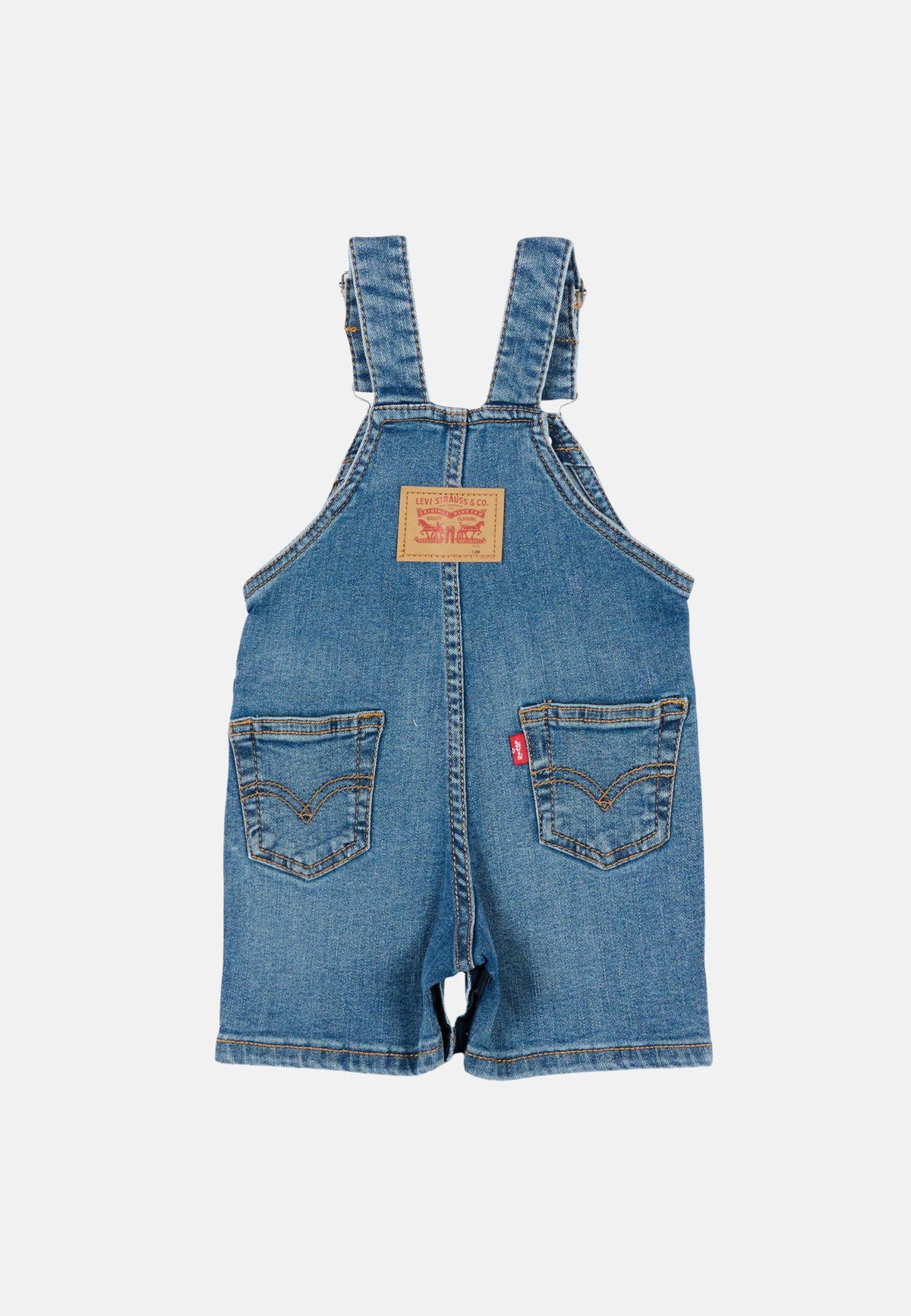 LVN SHORTALL - INDIGO CHAMPION