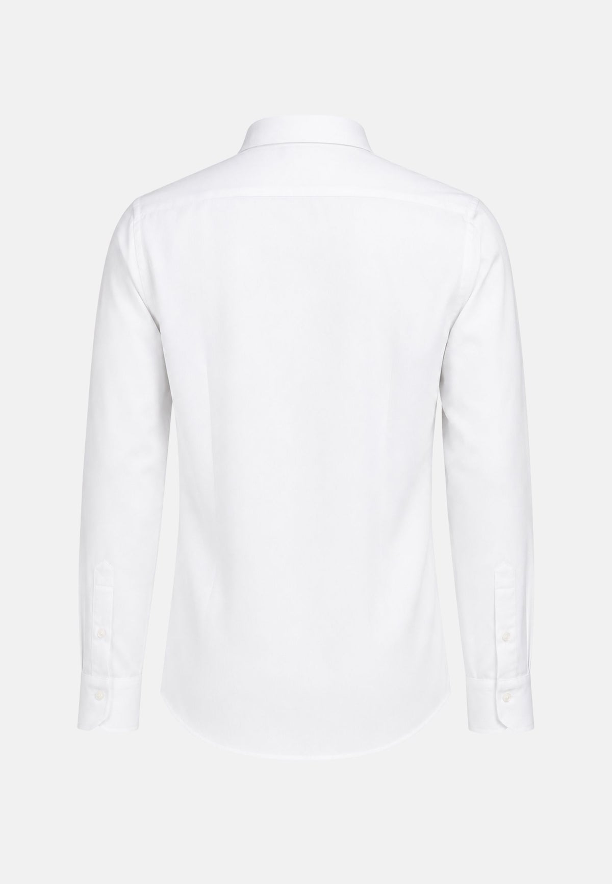 CAMICIA NEW TAILOR - BIANCO